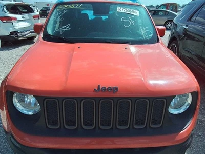 Capucha para 15-23 RENEGADE 3509033 Foto 1 de 4