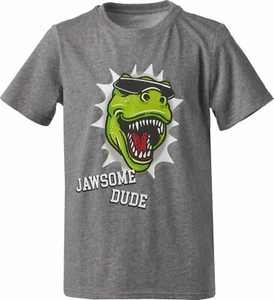 BCG Boys' Jawsome Dude Graphic Short Sleeve T-shirt Heather Grey Large (14-16) - Picture 1 of 3