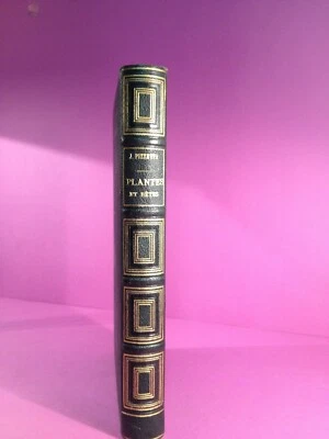 PIZZETTA - Plantes et bètes, causeries familières sur l'histoire - 1882 Bon état - Photo 1/4