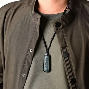 Colgante de jade hetiano natural diseño bambú unisex collar chino amuleto de la suerte - Imagen 1 de 6