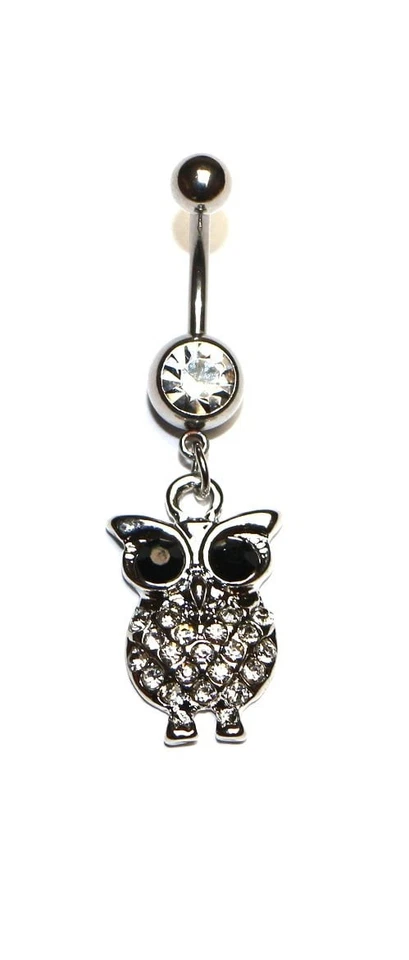 Hypoallergenic surgical steel owl dangle Cubic Zirconia stone silver - Image 1 of 1