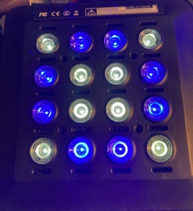 6 Genuine Mazarra Reef LED Module Maxspect Light XLamp Cree Blue Xp-E - Picture 1 of 7