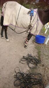 Used Horse racing harness pvc