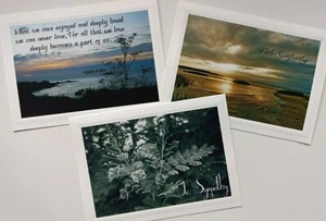 3 Sympathy Cards w/ Envelopes ~ Blank Inside for Your Personal Message - Picture 1 of 12