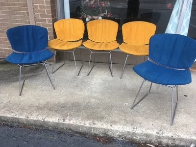 Juego de cinco sillas laterales Knoll BERTOIA con ALMOHADILLAS ORIGINALES (2 azules/3 doradas) Foto 1 de 4