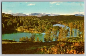 Postcard - Tarn Hows - Picture 1 of 2