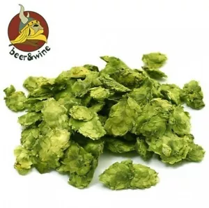 LUPPOLO EAST KENT GOLDINGS (CONI 100 GR.) - CROP 2019 PER BIRRA FATTA IN CASA - Foto 1 di 1