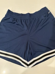 Girls DSG Blue Shorts Size XL (16) NWT - Picture 1 of 6