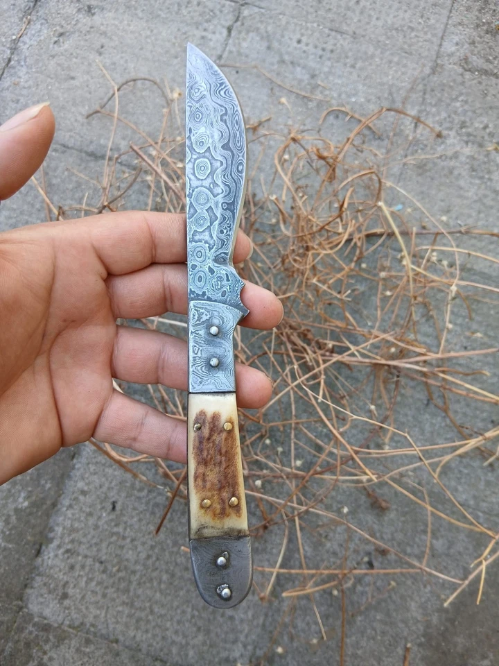 Damast Jagdmesser – Feststehende Klinge | Handgeschmiedet | Hirschhorn-Griff - Bild 1 von 4