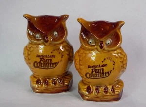 Juego de coctelera de sal y pimienta OWL Darien Lake Fun Country de Buffalo de colección 1980 Japón - Imagen 1 de 8