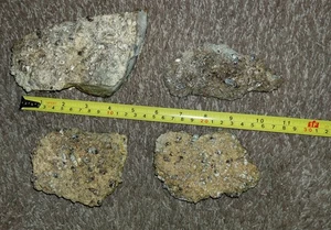 Bellissimo lotto di 4 fossili di agata turritella del Wyoming 1565 g (3,45 libbre) - Foto 1 di 5