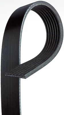 Para Dodge Viper 1992-1996 8,0 L Serpentine Belt Gates 159SE43 1993 1994 1995 1996 Foto 1 de 3