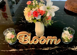 Bloom Wooden Springtime Sign Cursive Writing Blush/Light Green Tabletop Decor - Picture 1 of 7