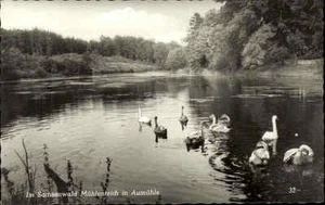 Aumühle Schleswig Holstein s/w postal ~ 1950/60 en Sachsenwald Am Mühlenteich - Imagen 1 de 2