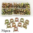 Spring Hose Clamp Cpu Pipe Fastener Clip Assortment Pack With Storage Box