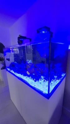 Saltwatwer Acuario Waterbox 150 Blanco Soporte 3 Años Foto 1 de 4