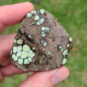 NATURAL STAR FOX VARISCITE ROUGH NEVADA 38.9 GRAMS - Picture 1 of 7