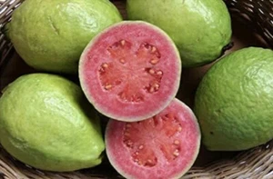 15 Mexican Pink Guava Fruit Seeds Rare Garden Organic NonGMO Grow Sweet Tree - Picture 1 of 4