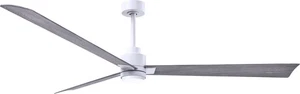 Matthews Alessandra 72" Damp-Rated Ceiling Fan with Remote and LED Lights, White - Picture 1 of 1
