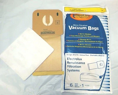 6 bolsas de filtro Electrolux Renaissance bote aspiradora estilo R 9000 8000  Foto 1 de 3