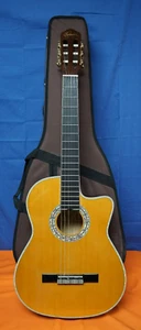 Estaban Granada G-100 Classical Acoustic Electric Guitar W/Case - Picture 1 of 14