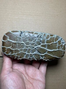 886g bellissima pietra naturale modello posteriore tartaruga pietra Moire pietra paesaggio - Foto 1 di 23