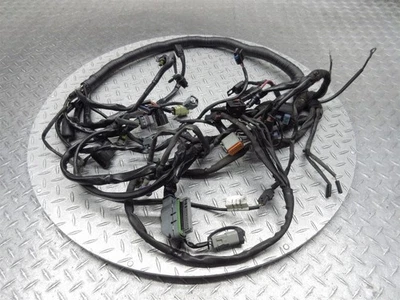 Harley-Davidson Dyna 2007 Low Rider motor principal arnés de cableado telar de cables Foto 1 de 4