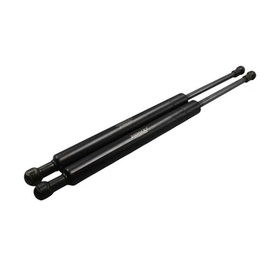 Fits BMW E46 323i 323Ci 325i 328i 98-06 Set of 2 Front Hood Lift Supports Struts Foto 1 de 4