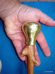 Show horse BRASS PEAR SHILLELAGH/walking stick almond stain spiky wild apple 🍎 - Picture 1 of 8