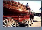 FOUND COLOR PHOTO E 9160 SIDE VIEW OF BUDWEISER STAGECOACH