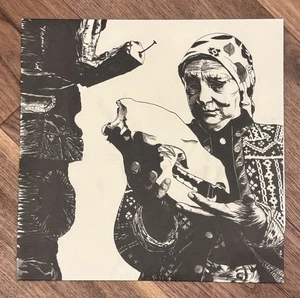 Microphones Mount Eerie Vinyl LP Record! Phil Elvrum EX - Bild 1 von 4