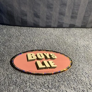 Socially Hazardous Stickers “Boys Lie” USA Vintage 90’s Stickers       SR-23 - Picture 1 of 5