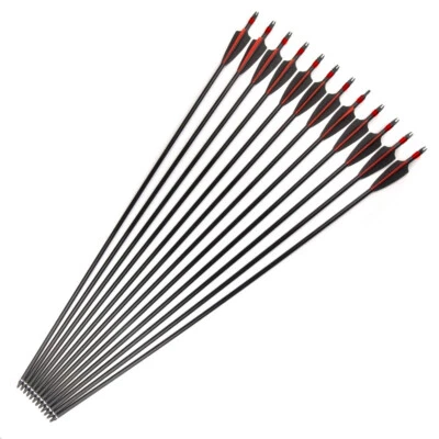6/12Pcs 30" SP500 Fiberglass Arrows For Recurve/Compound Bow Archery Practice - Image 1 of 4