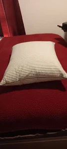 Vintage Standard Feder Bett Kissen blau weiß Streifen Inlett 4 Pfund 22×18 sauber - Bild 1 von 5