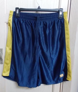 Wilson Shorts Boys Youth Size XL 16/18 activewear athletic Gym tennis Navy Blue - Picture 1 of 1