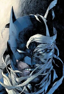 Batman Hush Jim Lee Poster Print 13x19 - Picture 1 of 1
