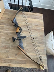 Vintage Martin Archery CLX5 Compound Bow With Tru Glo Sight GUC FREE SHIPPING - Picture 1 of 15