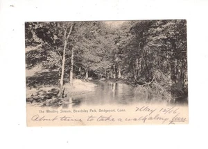 Bridgeport, CT The Winding Stream In Beardsley Park 1906 - Picture 1 of 2
