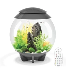 biOrb HALO 15 Aquarium with MCR Lighting - 4 gallon, Grey  - Picture 1 of 17