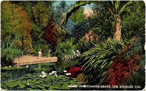 Szene in Sycamore Grove Los Angeles Kalifornien junges Mädchen 1900er Postkarte Carlin - Bild 1 von 2