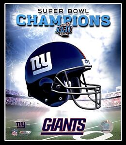 NEW YORK GIANTS NFL SUPER BOWL XLII 2008 OFFICIAL LICENSED 8X10 PHOTO FOOTBALL