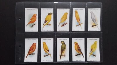 J. PLAYER  1933.  AVAIRY  AND CAGE  BIRDS.  FULL  SET   OF 50  CARDS. - Image 1 of 4
