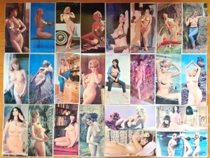 SEXY COVER CHEESECAKE NIHON SHUNKA CARD 48 PICS JAPAN 8INCH FLEXI X3 MGC-6001 - Picture 1 of 7
