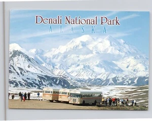 Denali National Park Alaska Tour Buses Snow Covered Mount Mt McKinley Postcard - Picture 1 of 2