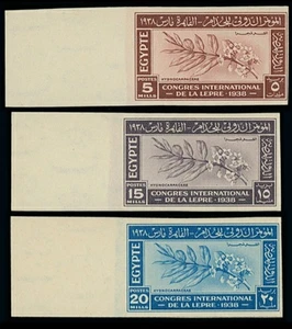 Egipto, 1938 Congreso Internacional de Lepra Conjunto Marginal Impervado - MNH - Imagen 1 de 1