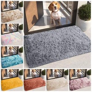 Non Slip Indoor Door Mats Small Large Door Mat Washable Rugs Kitchen Floor Mat - Picture 1 of 126