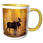 3dRose Moose bull in golden willows. Mug