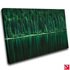 Amazing Green Pine Trees River CANVAS Wall Art Picture Print A4
