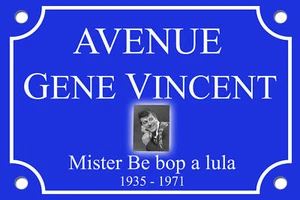 PLAQUE RUE Gene VINCENT Rock Roll Rockabilly 30X20c ALU - Picture 1 of 1