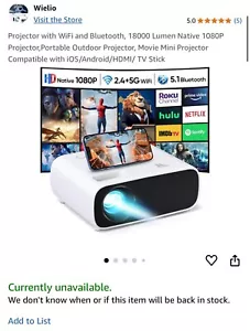 Portable Wielio Projector - 18000 Lumen - 1080P - M# AT-M269A - Picture 1 of 4